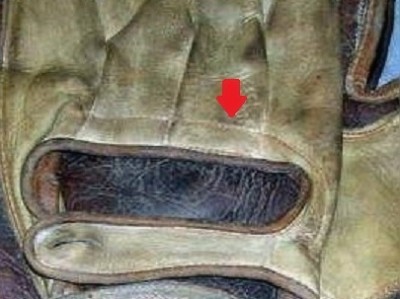 William Reed and Sons Crescent Catchers Mitt Backzx.jpg