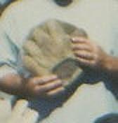 duck weba1.jpg
