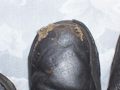 CBgvSUQCWkKGrHqZlYEz25gwYBNIDqZBLi_3.JPG
