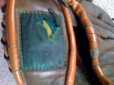 glove logo.jpg