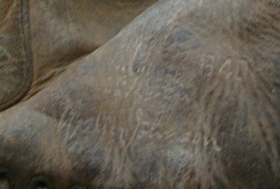 g401a.jpg