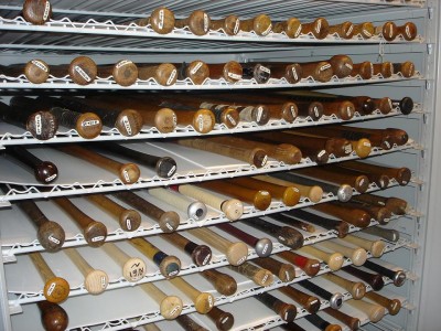 19th century bat vault.JPG