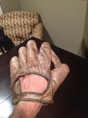 Glove 2 Reduced.jpg