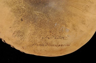 leg9a.JPG